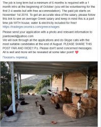 Как получать деньги, тусуясь с кошками на прекрасном греческом острове