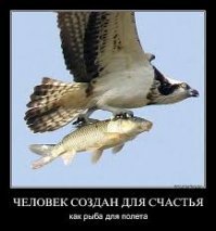 Подборка интернет юмора