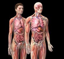 Как это устроено: 19 "всего на свете" изнутри