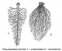 Выжившие после удара молнией показывают, что произошло с их кожей