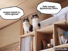 Почему я предпочитаю общественный транспорт личному автомобилю