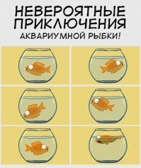 А этим хоть не скучно)