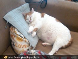 Савоярди , Маскарпоне,  
.... без яиц