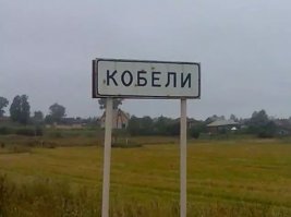 Кировская область.
Очень приличная деревня, между прочим