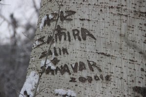 Лишь бы вырезать не начали)