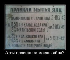 Житель Новой Зеландии помылся на автомойке