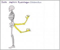 Toyota Fortuner прилег на бок из-за неосторожности водителя