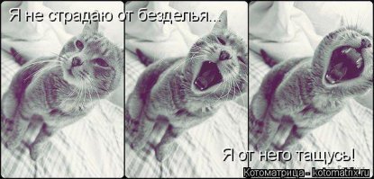 Когда ну совсем нечего делать