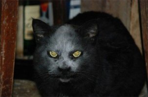 Самый реалистичный косплей демона