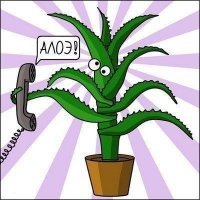 Как это устроено: 19 "всего на свете" изнутри