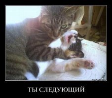 Подборка интернет юмора