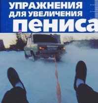 Ульяновские выборы начались с увеличения пениса и скумбрии