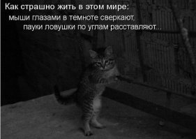 20 жутких ситуаций, когда лучше просто развернуться и уйти