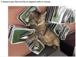 Какой-то перевёрнутый "рай"... :)