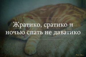 Свежая подборка демотиваторов, которые поднимут вам настроение