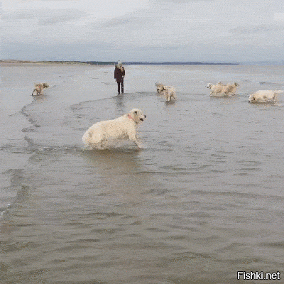 а ну расступись!!!!