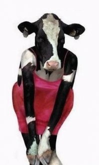 20 самых шокирующих интернет-покупок