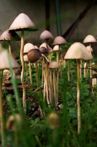 19 произведений уличного искусства, вдохновляющих на творчество
