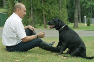 Подборочка, Путин и жЫвотные!