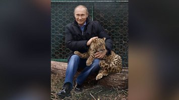 Подборочка, Путин и жЫвотные!