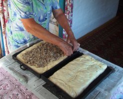 Автору жирный плюс...
А ещё помню пироги по выходным и на праздники пекли в русской печи... У нас были всегда большие открытые/закрытые с любыми ночинками: