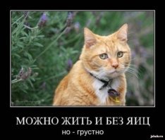 Ты хоть до конца прочитал? Сказано-же через 15 дней умер, две недели грустил, потом понял, что всё, ну, или как-то так.
