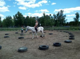 Снимок сделан в загородном комплексе, где имеется конюшня и несколько лошадей и пони. Животные используются для верховой езды. Данная лошадь была выкуплена в истощённом состоянии, сейчас её откармливают, приучают к седлу. Хорошо это или плохо?