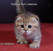 Проморолик «Проклятия монахини» напугал невольных зрителей