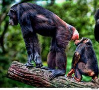 Оленевод просил тебя за зарплатой зайти.