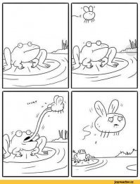 Язык мой — враг мой. Неудачную охоту хамелеона сняли на видео