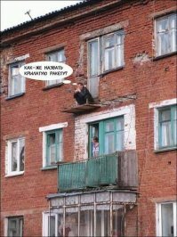 Кого увидели автомобили, которые снимают панорамы