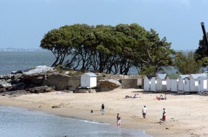 На каждую такую собаку найдется кандидат на премию Дарвина.

Во Франции турист выкопал яму на пляже и утонул в ней.
На пляже Бартбатре на острове Нуармутье 21-летний отдыхающий вырыл в песке яму, забрался в нее и не смог выбраться, когда его накрыло водой, сообщает Ouest France.
Как сообщили в местной прокуратуре, яма оказалась слишком глубокой для того, чтобы выбраться из нее самостоятельно. Родственники молодого человека, находящиеся поблизости, пытались вытащить его.
Прибывшие на место представители экстренной службы не смогли спасти туриста. (15 авг.2018   РИА Новости)