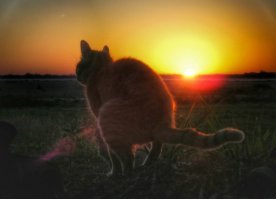 Факты о людях и нашей жизни, которые вы точно не знали