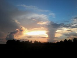 Сняла в Калужской области на телефон стоимостью 2150 руб.