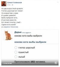 Картинки с надписями для настроения