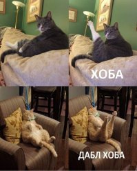 Необычное использование советской выжималки для белья