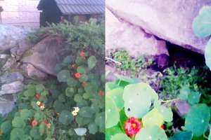 Недавно та же фигня произошла Чувствую кто то смотрит... и вот  )))