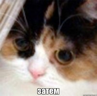 Зачем танк возит с собой бревно