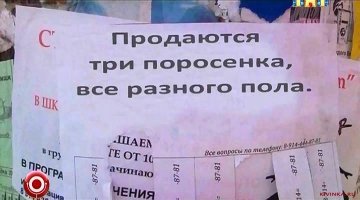 В Германии придумали название для третьего пола