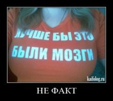 Правдивые надписи