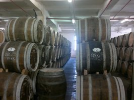 Вот не хочу я в книжном магазине потеряться, как ни крути.
Согласен вот тут на пару дней