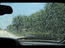 а за это расстрел ?