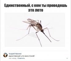 Где убийца, где злодей: Виды кровососов