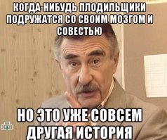 Бродячие животные рождаются дома. Когда-нибудь люди поймут, что нужно быть ответственными и кастрировать своих домашних животных, вот тогда и бродяжек станет намноооого меньше.