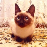 Картинки с надписями для настроения