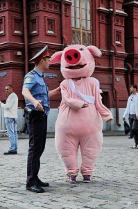 Веские причины немедленно завести свинью
