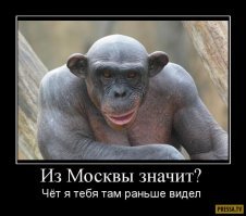 Комментарии, соцсети и другие приколы