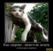 Комментарии, соцсети и другие приколы