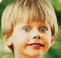 Препарируем цитрусовые