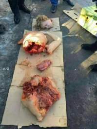 он не вкурсе, что для медведя, он более доступная еда чем рыба ?
ловить гораздо проще